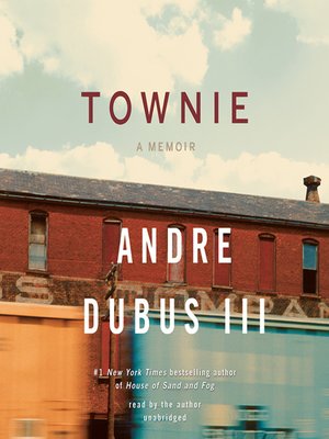 cover image of Townie